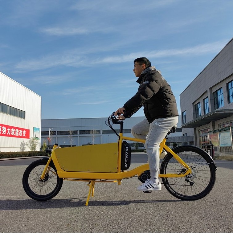 Yiyken Factory Hot Sale Cargo Aluminum Frame  2 Cargo Electric Bike For Family