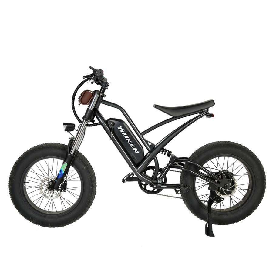 48V 1000W E-Bike Bafang Mountain EBike Electro Elektro Mountainbike Elektrische Fatbike E Bike Electric Bicycle