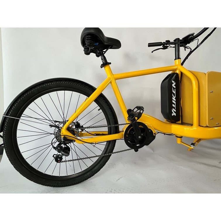 Yiyken Factory Hot Sale Cargo Aluminum Frame  2 Cargo Electric Bike For Family