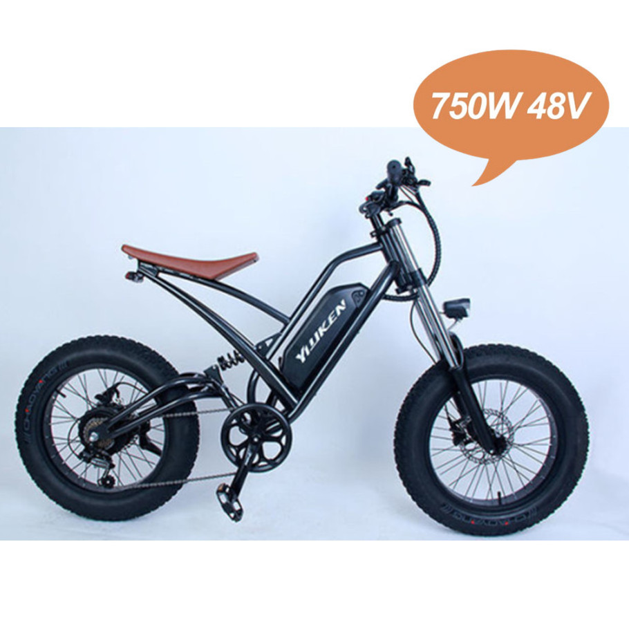 20inch Woman Fat Tire Electric Bike Bicycle 500w Rear Motor Retro Bicicleta