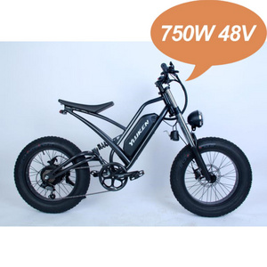 2024 Lithium Battery 48V 1500w Electric Bike 26 inch Fat Tire