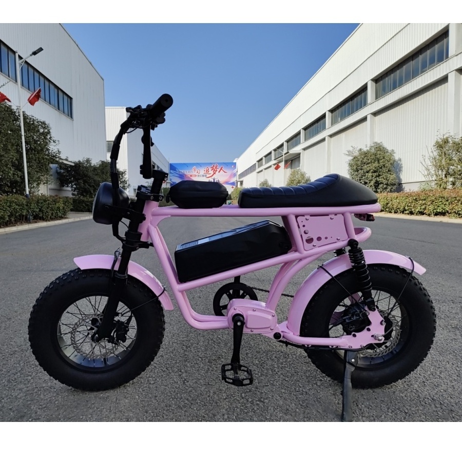 Super Cheap Mini Kids Electric Pocket Bikes 36V 15.6AHCheap Folding Electric Bike 48V Fat Frame Lithium Battery 500W 350W Steel