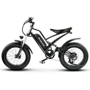 Fatbike fat bike kenda tyres 20 24" food cargo bike electric ebike e-cargo family e bicycle for delivery food delivery e-bike