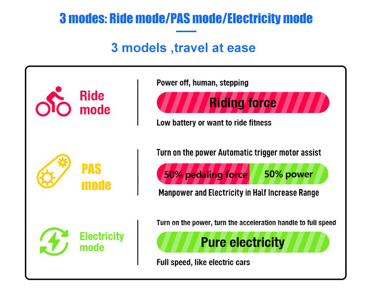 wholesale 20Inch  Fat Tire 13Ah 48V Dirt Mountain Electric Bicycle /electric bike