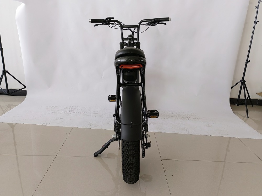 electric cycle 250W hub motor ebike aluminium bike frame cargo bike 36V 48V bicycle hot sale electric moped 20*4.0 fat tire