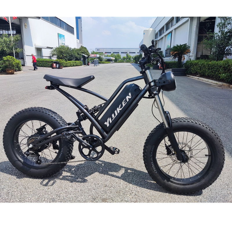 YIYKEN electrical city e-bikes 1000w dual motor super  red -black 2 Puyuan 73 1000w - 48v batteries