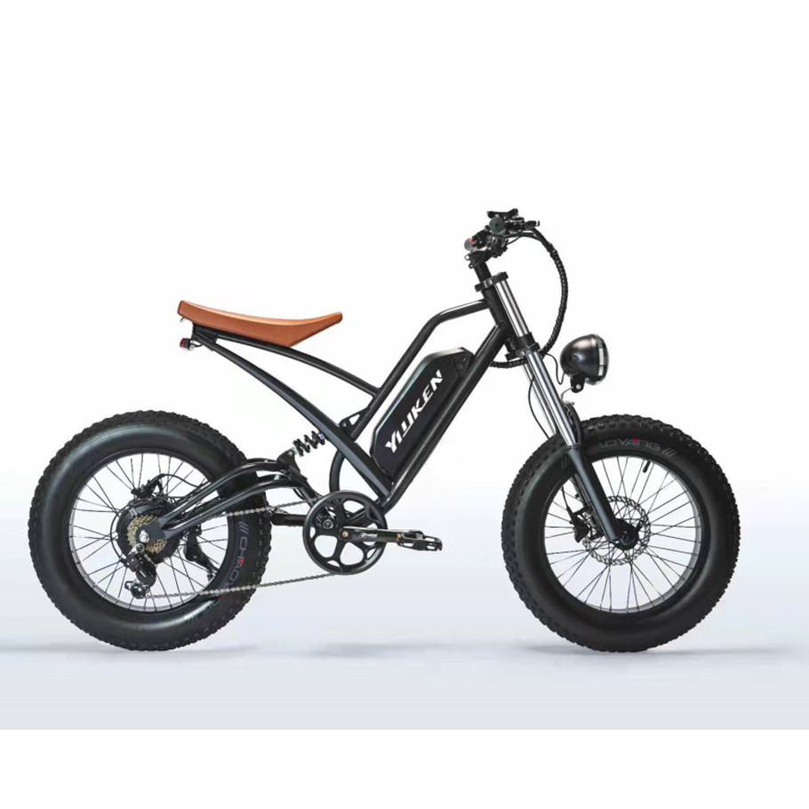 High quality e 1500w promax fatbike 2000w europe electric fat bike velo electrique 1000w