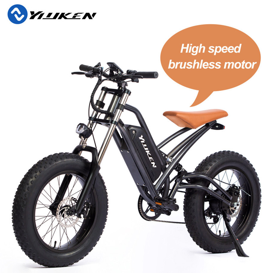 Fat tire motorcycles 750W electric bicycle 48V battery ebike 20 inch electric city bike e bicycle electric bike for adults