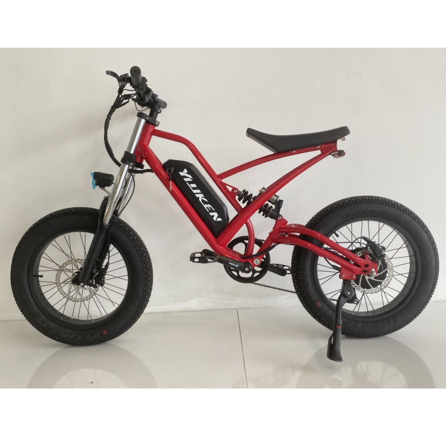 7 speed electric bike fat tire dual motor Cargo electric bike 750W 48V aluminum mountain ebike for adults