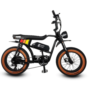 20" Fat Tire 45km/h Adult Fatbike Electric No Battery 48V 500W Motor Electric Bicycle Electric Mountain Bike Electric City Bike