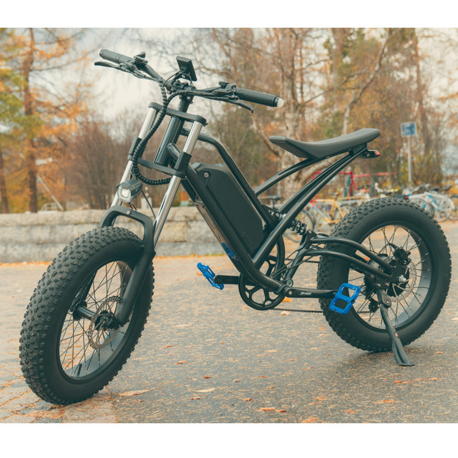 High quality e 1500w promax fatbike 2000w europe electric fat bike velo electrique 1000w