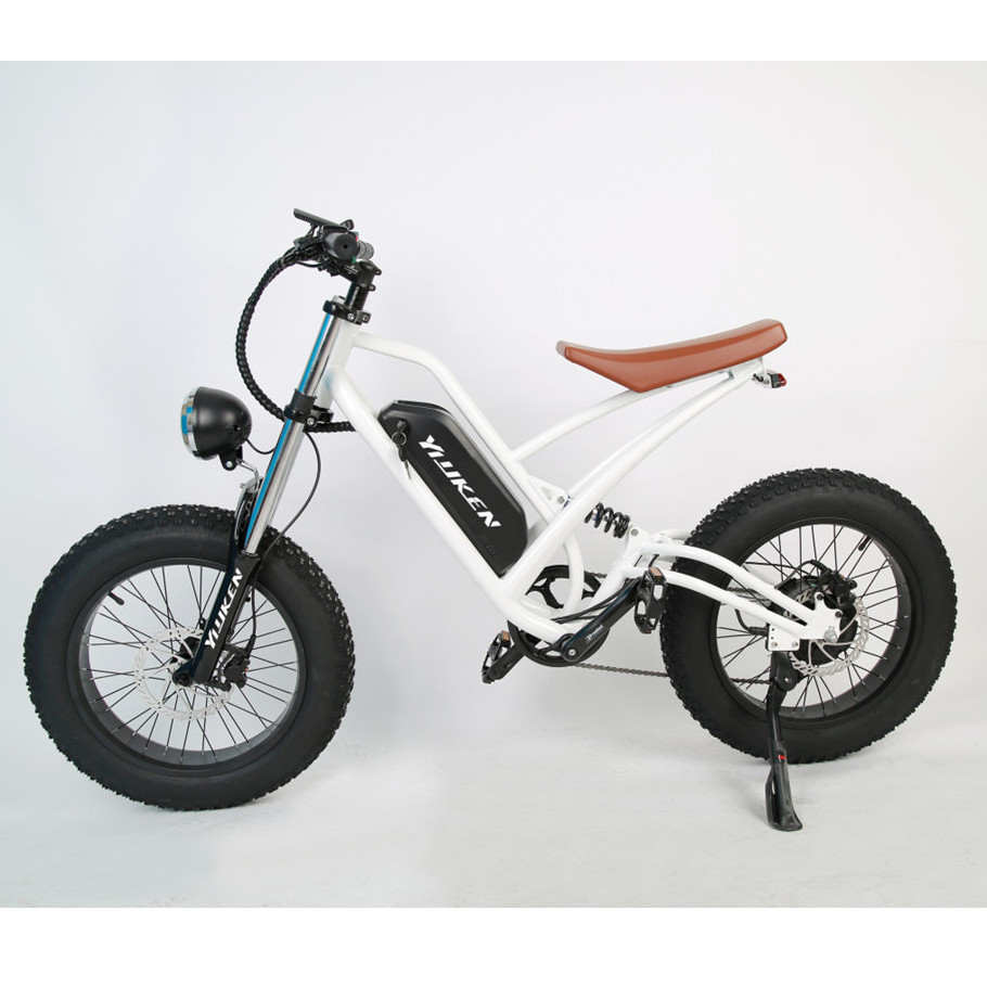 48V 1000W E-Bike Bafang Mountain EBike Electro Elektro Mountainbike Elektrische Fatbike E Bike Electric Bicycle