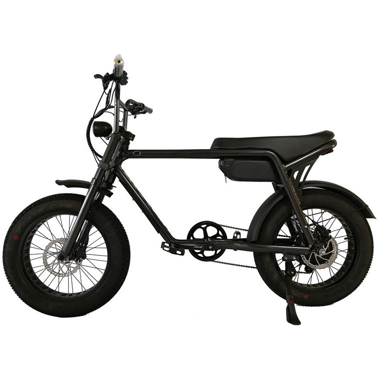 electric cycle 250W hub motor ebike aluminium bike frame cargo bike 36V 48V bicycle hot sale electric moped 20*4.0 fat tire