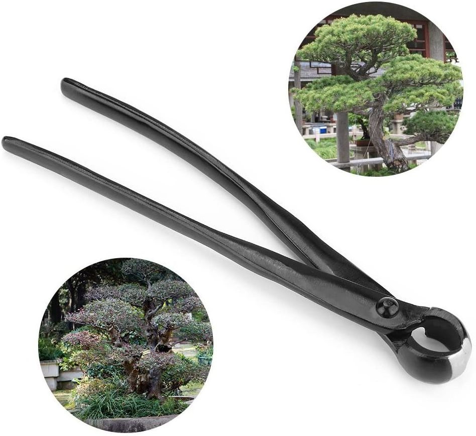 Bonsai Concave Branch Cutter, 8.4 Inch Manganese Steel Alloy Sharp Blade Round Edge Knob Cutter, Gardening Concave Pruner(210mm