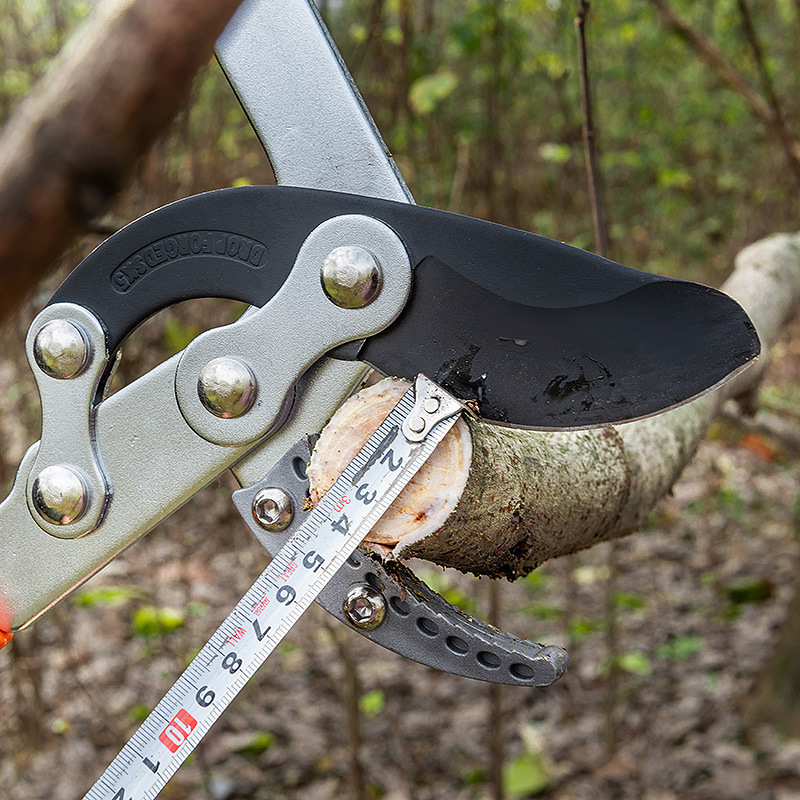 Garden Hedge Shears with  SK-5 Blade, Manual Hedge Trimmer for Trimming Borders, Fence, Shrubs, Trees Telescopic