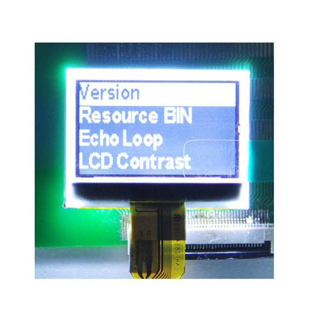 customized small size monochome 128x64 FSTN LCD Screen Micro LCD Display