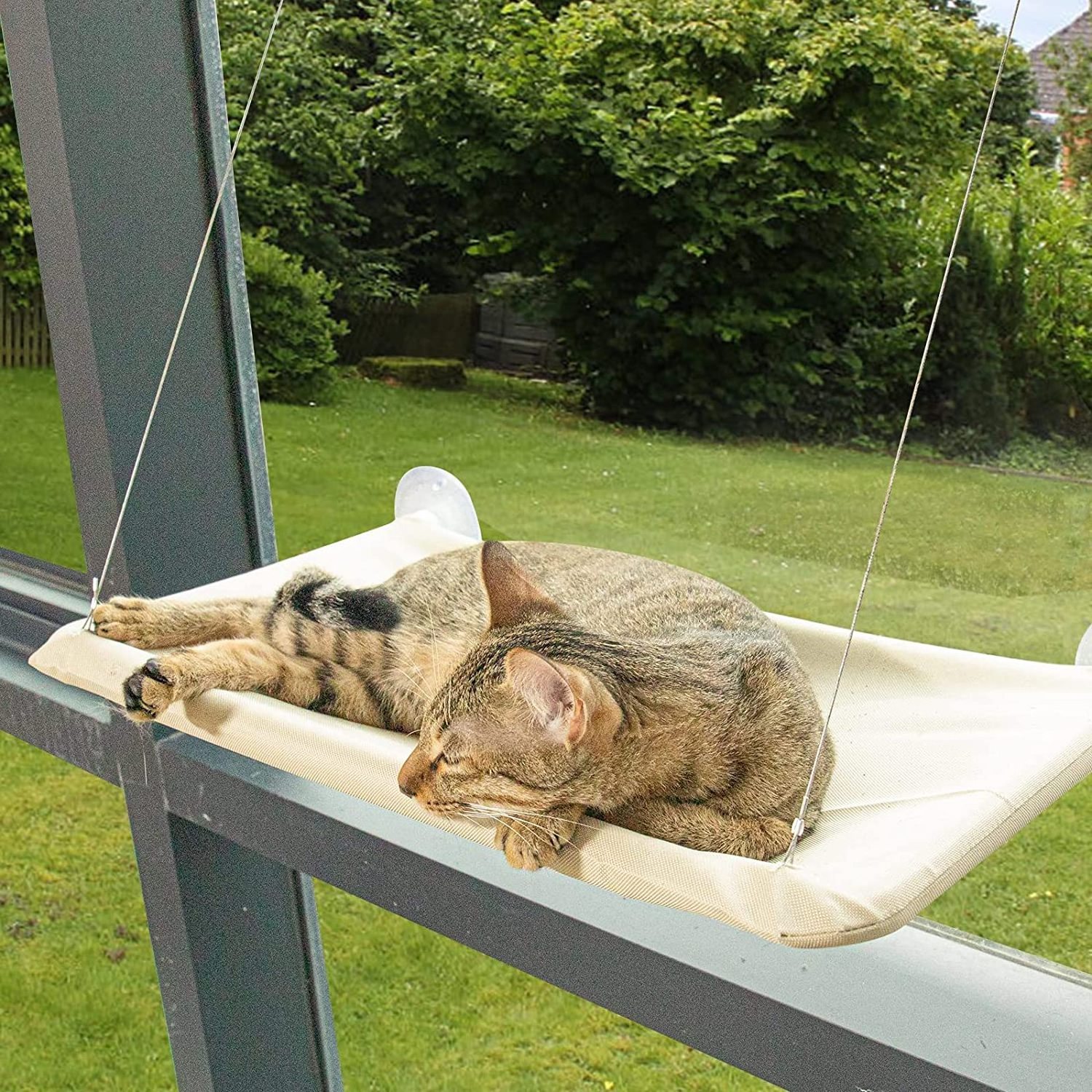 Cat Window Perch Cat Hammock  Window Bed  with Screw Suction Cups for Cats of all Shapes