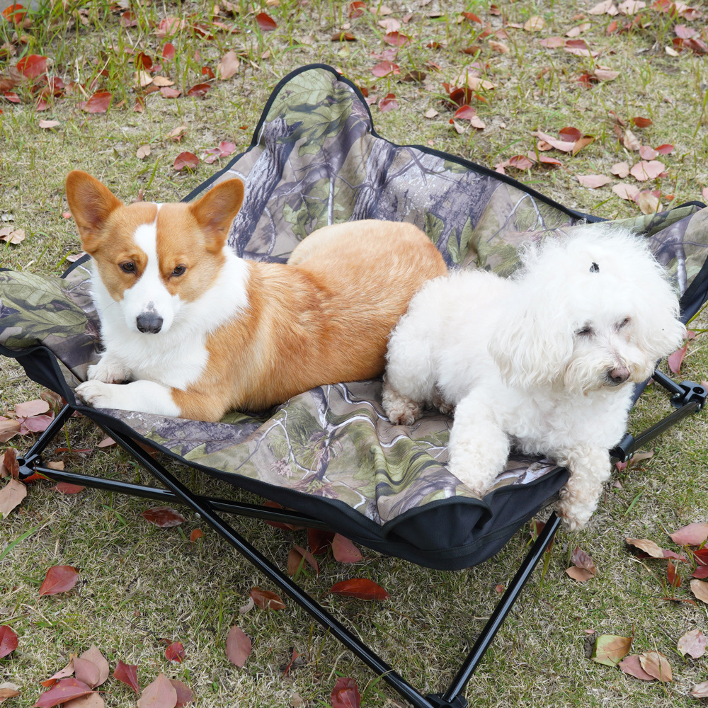 Outdoor dog bed Camping  Elevated Removable luxury dog bed