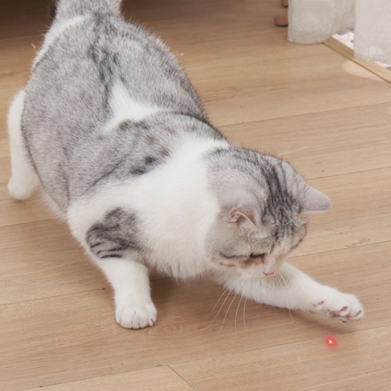 Mouse laser cat toy  teaser LED infrared cat interactive automatic  for cat toy