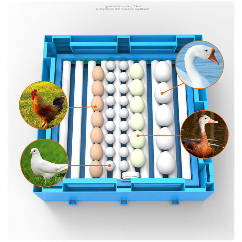 Fully Automatic Egg Incubators Small Incubators Hatching machine eggs Smart Chicken Egg Incubator For chick