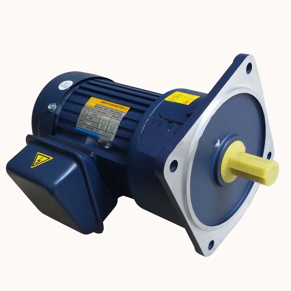 High Torque Planetary Hypoid Single Phase Small Gear Ac Electric Motors Induction Geared Motor with Gear Box