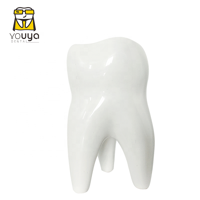 High Quality Ceramic Tooth Shape Pen Holder, Custom Pencil Holder