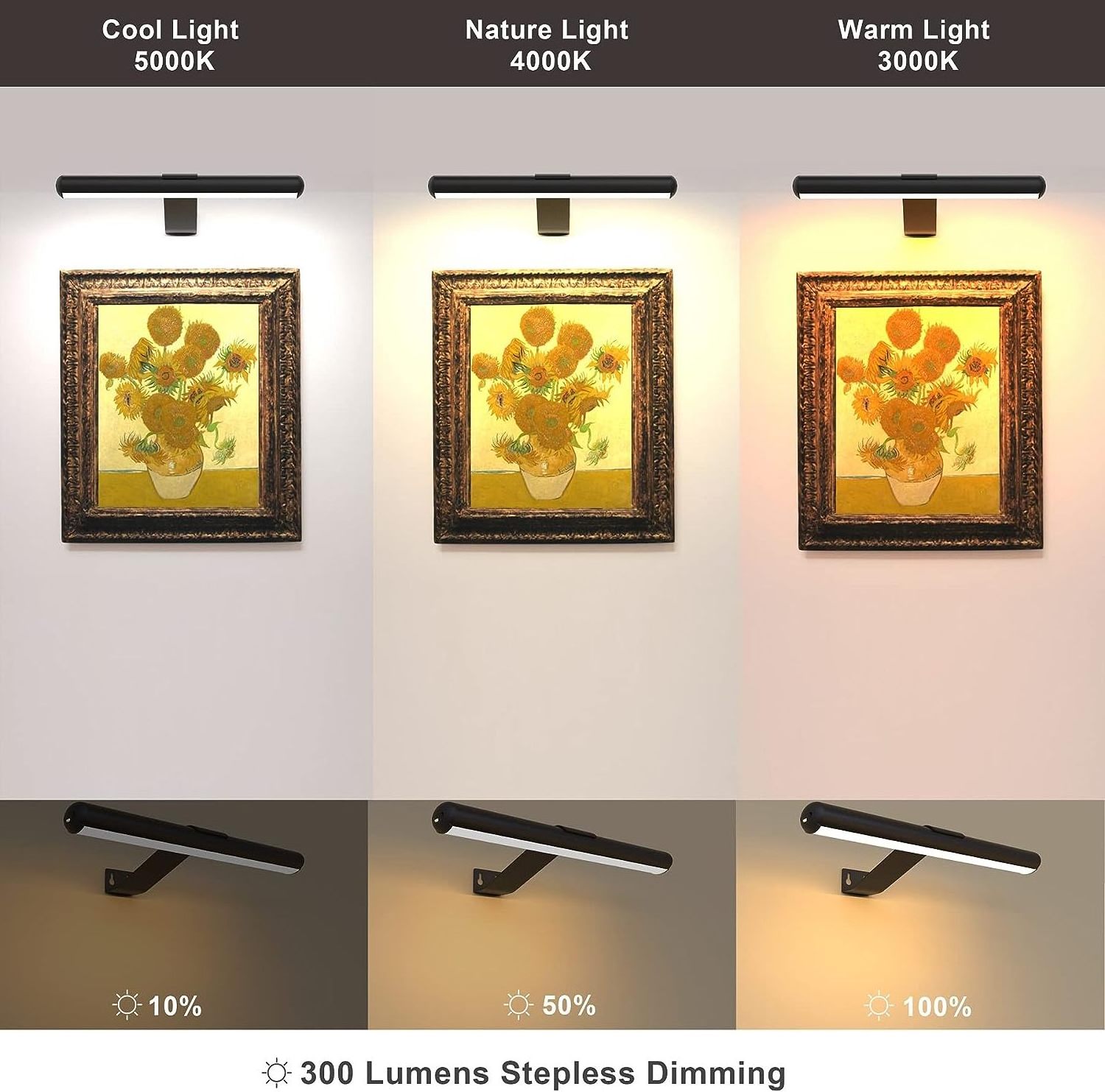 Modern Painting Indoor Mirror LED Wall Mountable Lamp Picture Light Rechargeable Wall Art Light with Remote Control