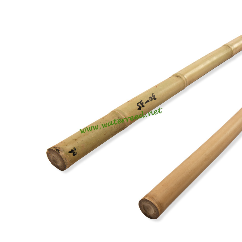 Wholesale decoration natural bamboo pole canes