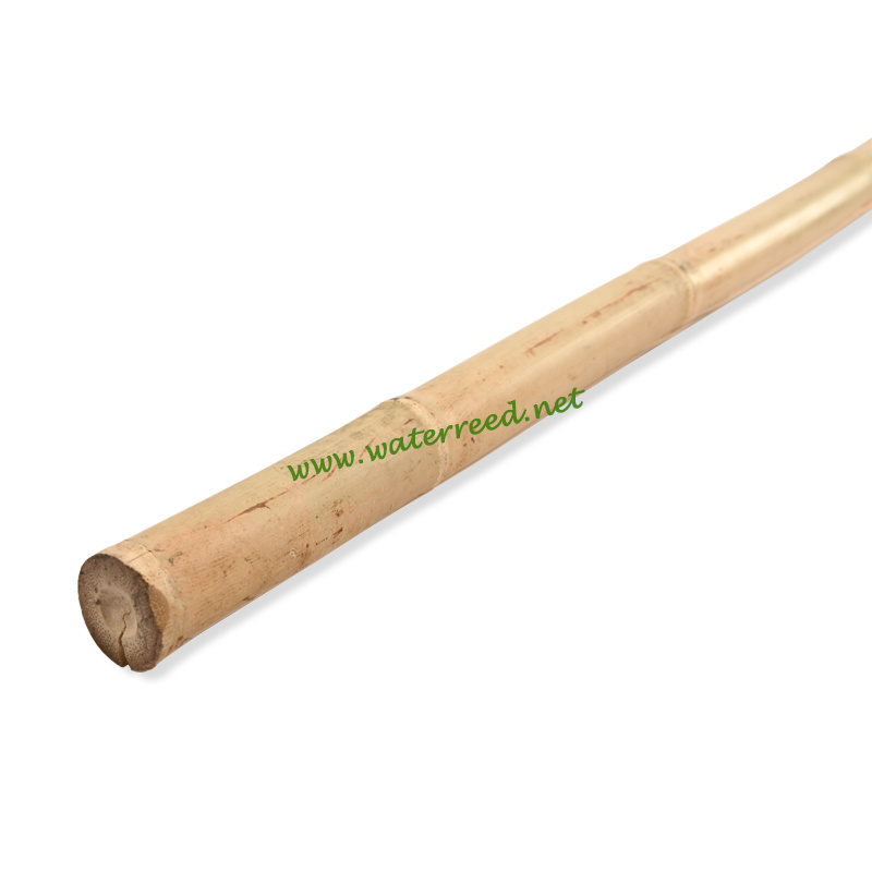 Wholesale decoration natural bamboo pole canes