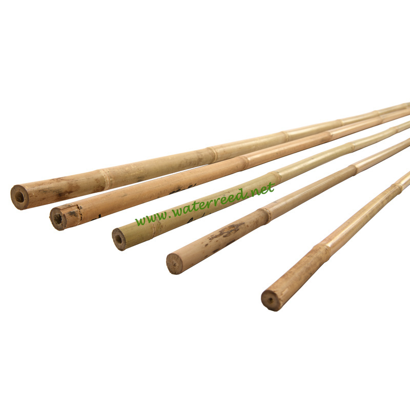 Wholesale decoration natural bamboo pole canes