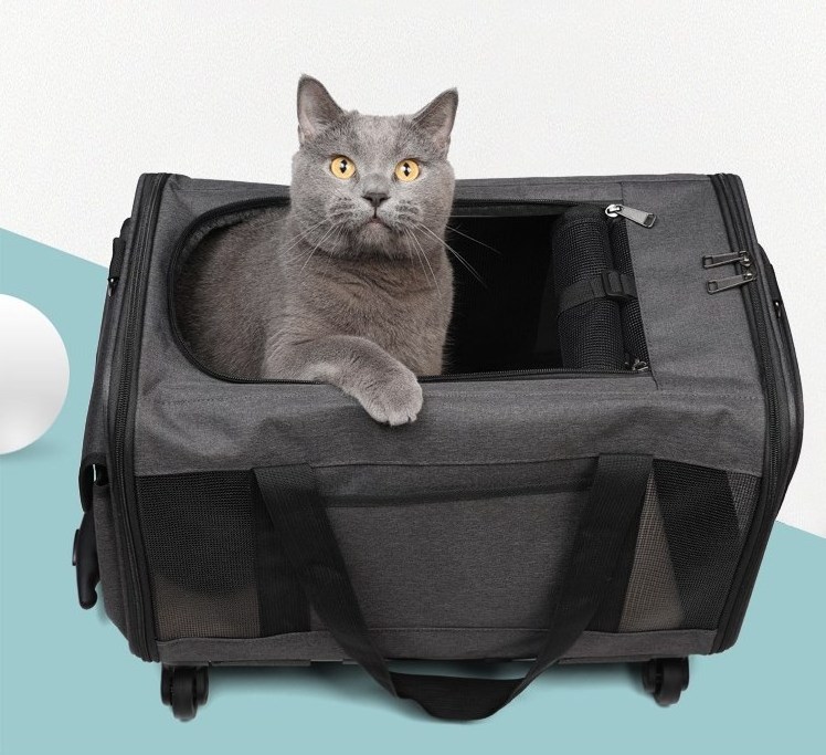 Pet Cat Carrier Rolling Puppy Trolley Rolling Airline Approved Travel Wheels Luggage Bag