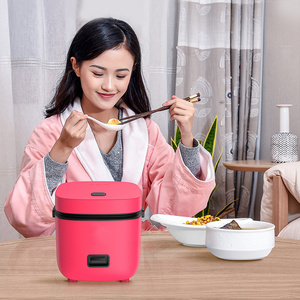 Multi-function Rice Soup Cooker 24 Timer Rice Cooker Electric Plastic Oem Stainless Steel Square 200W mini rice cooker1.2l