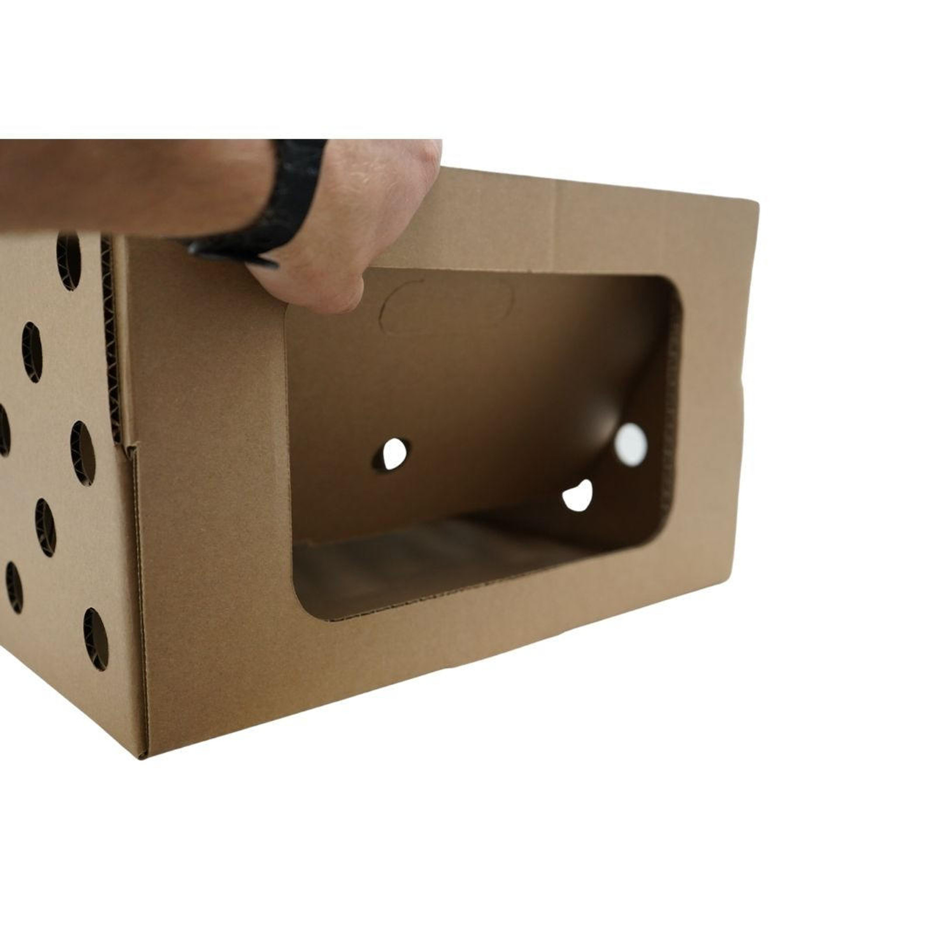 Custom Design Plus Cardboard Live Chick Bird Box Pigeon Live Bird Shipping Box waxed bottom