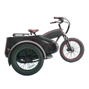 Side Car Fat Pedelec/250w Side E Bicycle/500w Sidecar Electric Bicycle/ Fat Vintage Sidecar E Bike/750w Retro Kid Delivery Trike