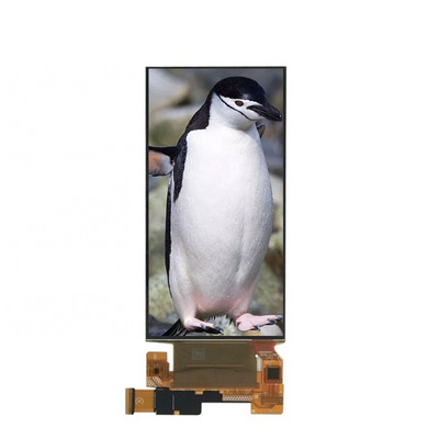 Wholesales Price 6.0 inch LCD Display 1080*1920 Resolution Lcd Panel With 40 Pins High Brightness LCD Module