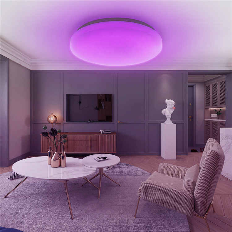 Home Smart RGB+W Bedroom Lamp 15 18 24 Watt Intelligent Phone Tuya APP Control Modern Ceiling Light