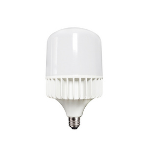 Aluminum Casting Light Bulb LED 60W 80W 100W LED Light E40 LED Bulb