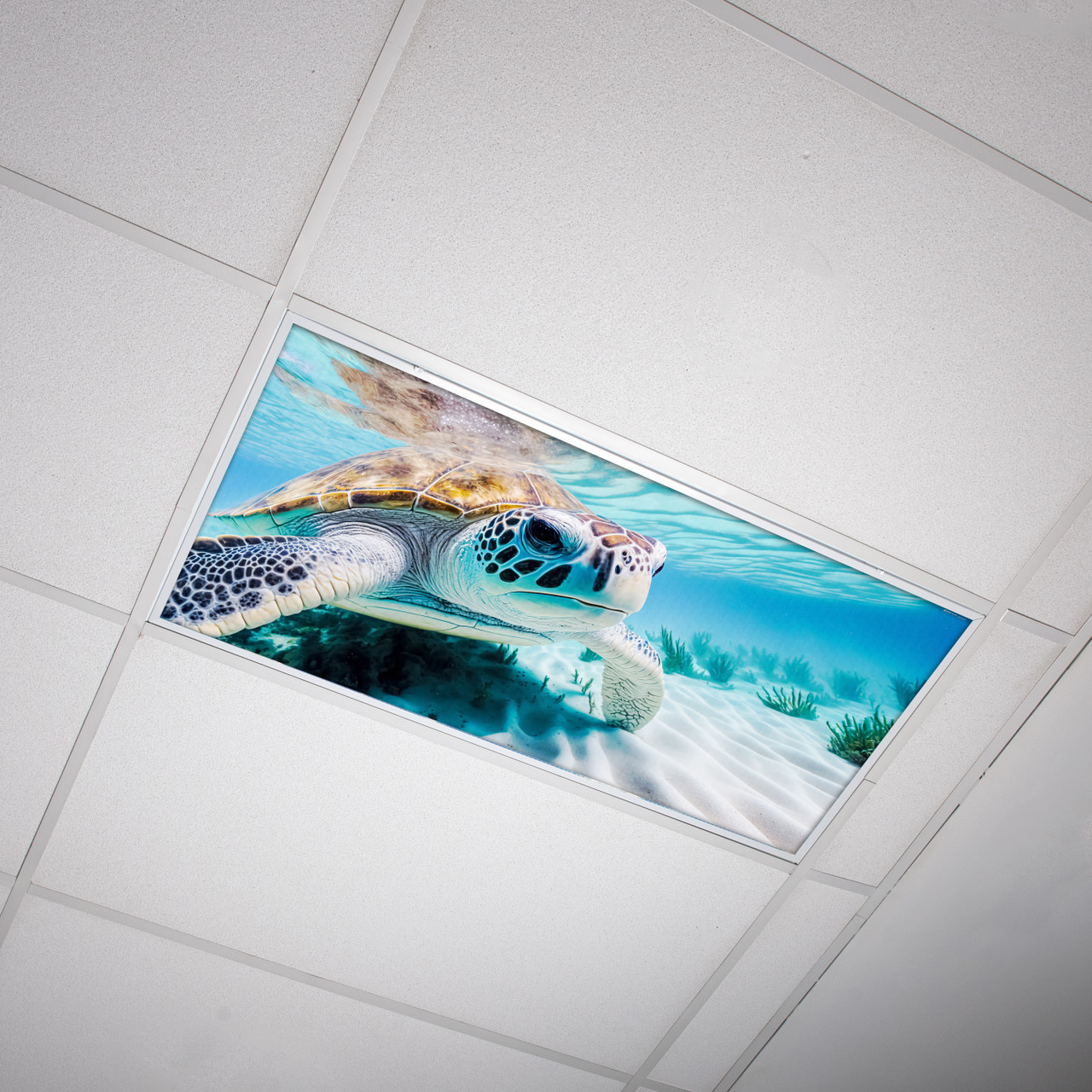 custom printed stretch ceiling film home decoration fluorescent light covers for classroom