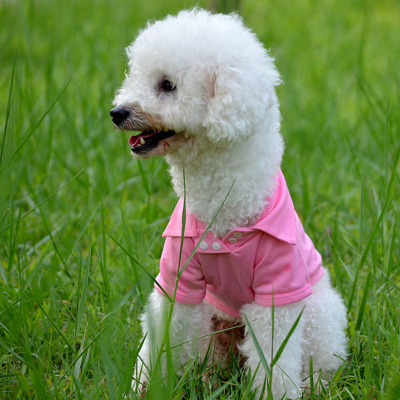 summer Cute moustache Pet Puppy Polo Collar T-Shirt Small Dog Cat Pet Fashion Vest Clothes Costume Teddy