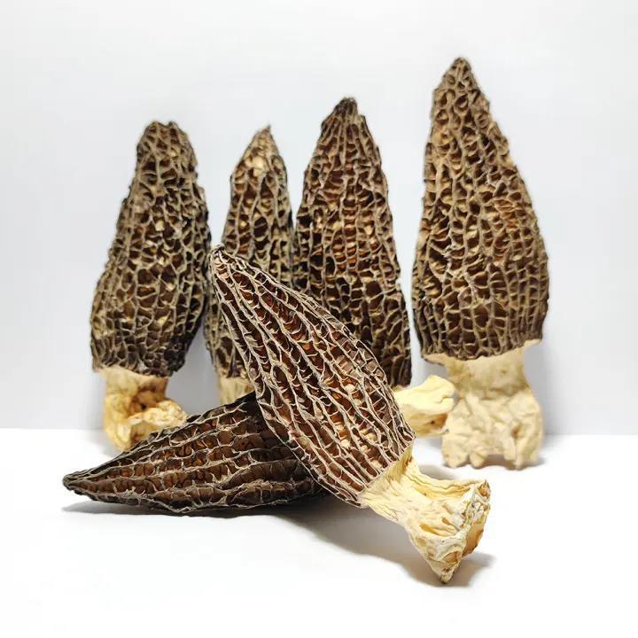 Best Quality Wholesale Bulk Morel Mushroom   Dried Black Morel