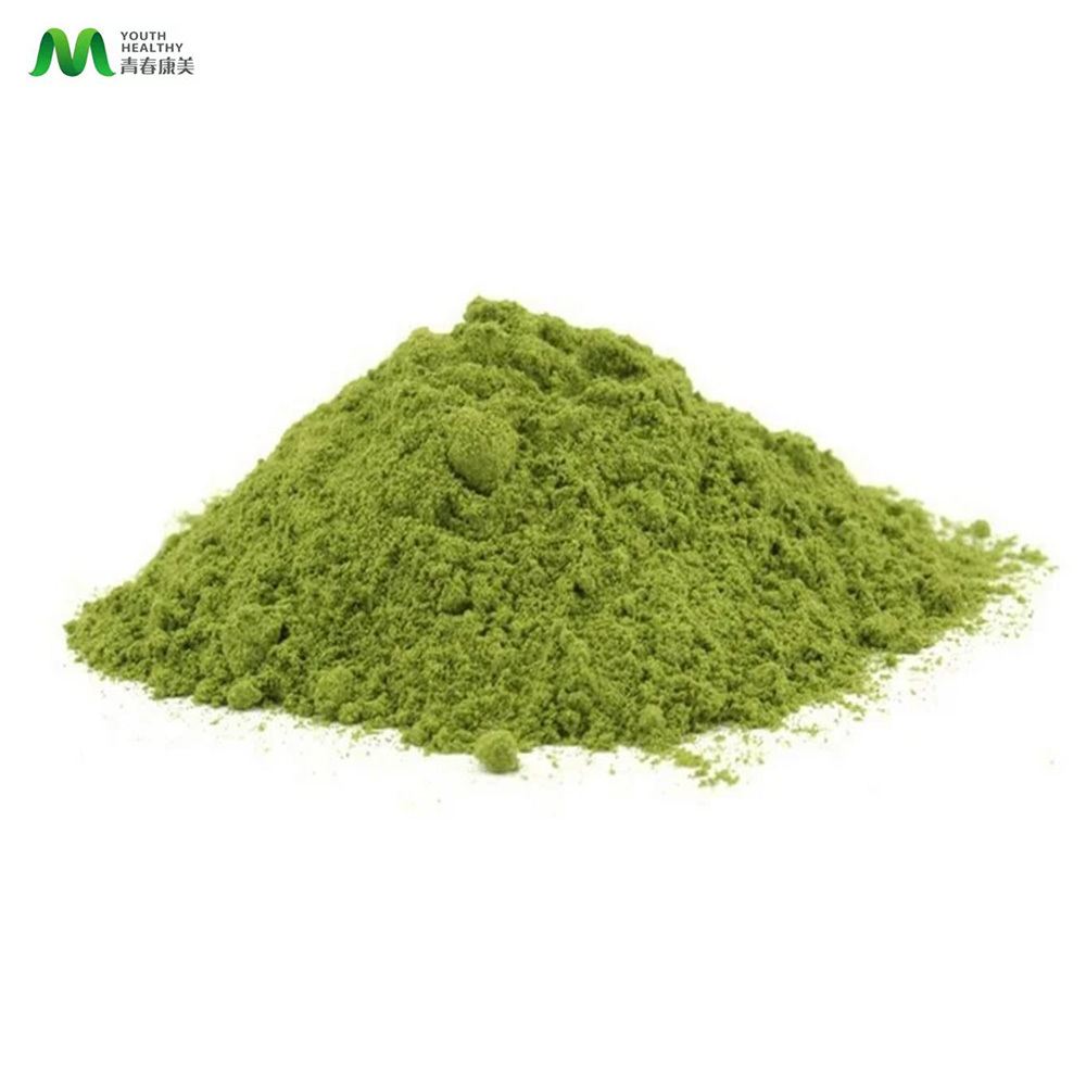 Pure Natural Organic certified Moringa Leaf Extract Powder Moringa Powder Bulk moringa leave powder