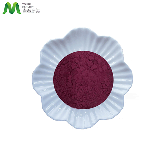 Source Factory Direct Supply Aronia Berry Powder