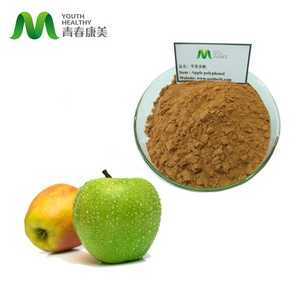 High Quality 100% Pure Organic Green Apple Extract 10:1 Powder Apple Polyphenol