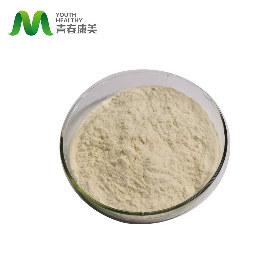 Apple Pectin Extract Powder Organic Apple Fruit Fiber Powder