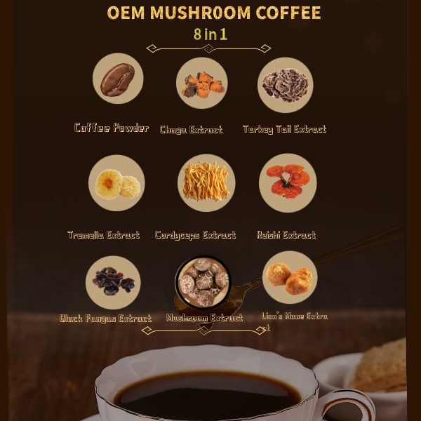 Kosher Halal Haccp Factory Supply Organic Mushroom Coffee