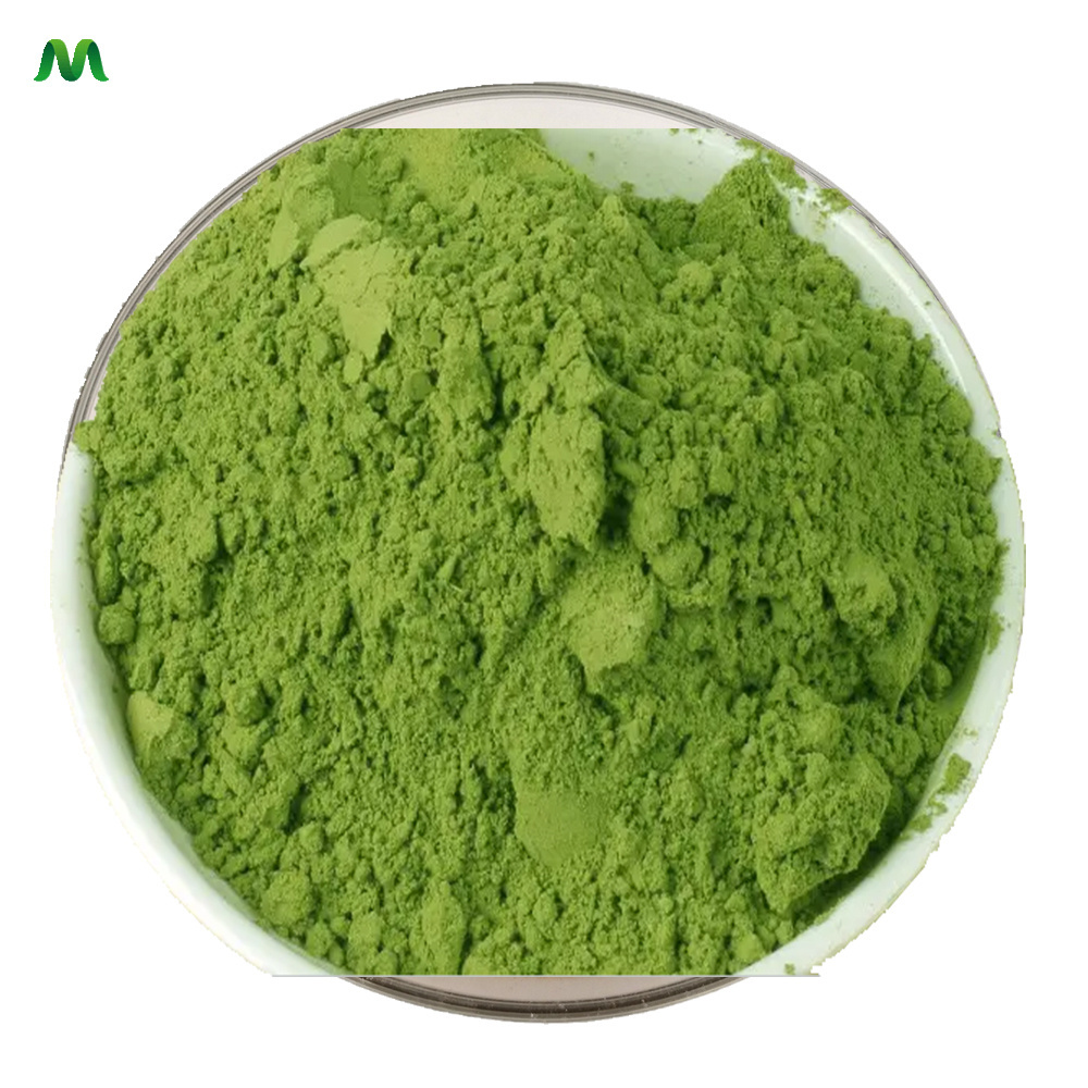 Pure Natural Organic certified Moringa Leaf Extract Powder Moringa Powder Bulk moringa leave powder