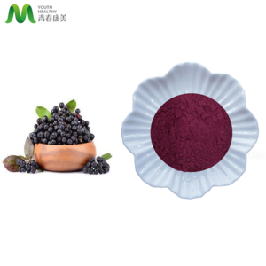 Source Factory Direct Supply Aronia Berry Powder