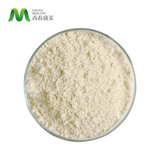 Manufactural Private Label Pea Protein Powder In Bulk