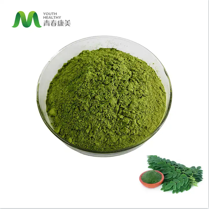 Pure Natural Organic certified Moringa Leaf Extract Powder Moringa Powder Bulk moringa leave powder