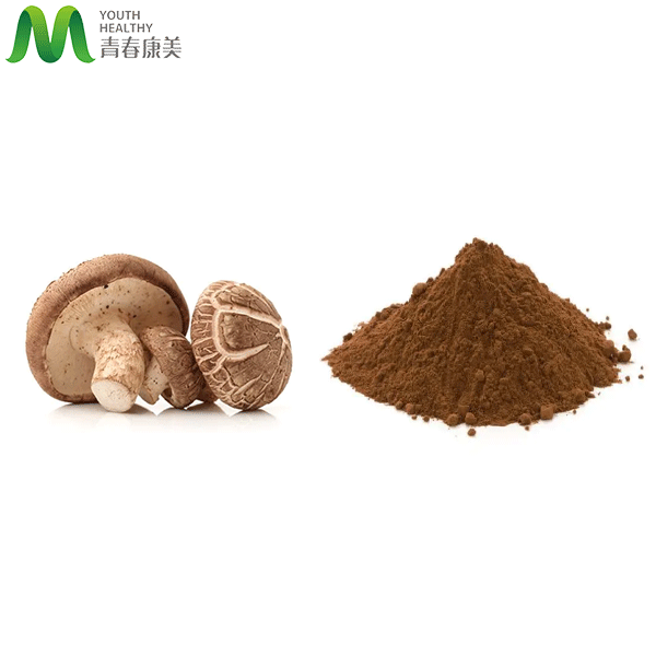 Mushroom Extract Lentinus Edodes Extract Supply Polysaccharides Shiitake Mushroom Powder Organic Shiitake extract